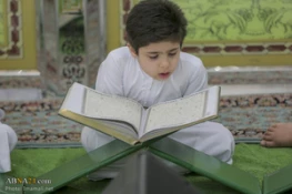 تصاویر ازآئین ترتیل خوانی قرآن توسط نوجوانان در حرم امام علی(ع) 11