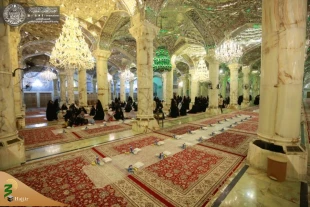 سفره افطار حرم امیرالمومنین(ع) برای بیش از ۱۰ هزار زائر + تصاویر  16