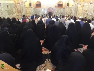 جشن میلاد با سعادت امام حسن مجتبی(ع) در حرم امیرالمومنین علی (ع)برگزار شد . 2