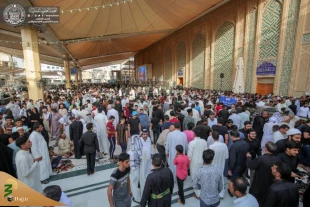 تداوم تشرف زائران و عزاداران به زیارت حرم مطهر علوی + تصاویر  4