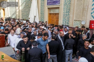 تداوم تشرف زائران و عزاداران به زیارت حرم مطهر علوی + تصاویر  5