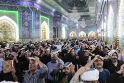 شب قدر زائران ایرانی در کربلای معلی 5