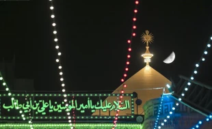 مناجات در جوار بارگاه مطهر علوی در شبهای نورانی ماه مبارک رمضان + تصاویر 6