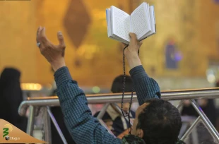 مناجات در جوار بارگاه مطهر علوی در شبهای نورانی ماه مبارک رمضان + تصاویر 7