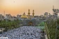 نماز عید فطر کربلای معلی + فیلم 2
