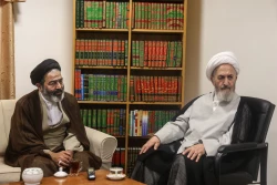 دیدار حجت الاسلام والمسلمین نواب نماینده ولی‌فقیه در امور حج با مراجع تقلید  11