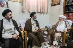 دیدار حجت الاسلام والمسلمین نواب نماینده ولی‌فقیه در امور حج با مراجع تقلید  13