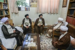 دیدار حجت الاسلام والمسلمین نواب نماینده ولی‌فقیه در امور حج با مراجع تقلید  15
