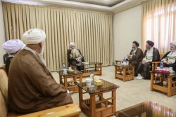 دیدار حجت الاسلام والمسلمین نواب نماینده ولی‌فقیه در امور حج با مراجع تقلید  22