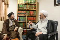 دیدار حجت الاسلام والمسلمین نواب نماینده ولی‌فقیه در امور حج با مراجع تقلید  5