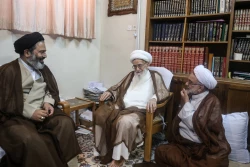 دیدار حجت الاسلام والمسلمین نواب نماینده ولی‌فقیه در امور حج با مراجع تقلید  7