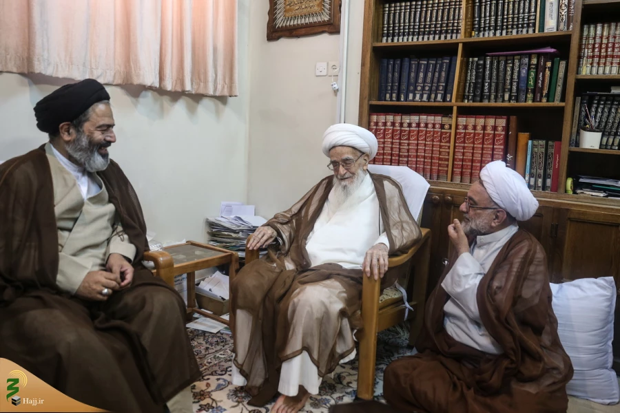 دیدار حجت الاسلام والمسلمین نواب نماینده ولی‌فقیه در امور حج با مراجع تقلید  7