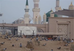گلچین مداحی میثم مطیعی به مناسبت سالروز تخریب بقیع + صوت 2