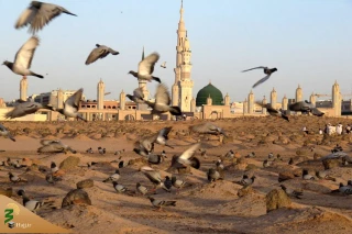 بقیع؛ تجلی واقعی غربت