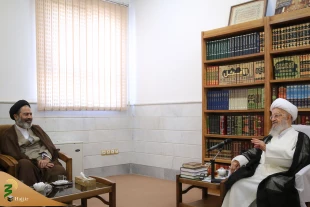 آیت الله مکارم شیرازی