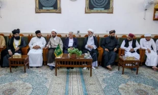 زیارت هیئتی از ائمه مساجد انگلیس از حرم علوی 5