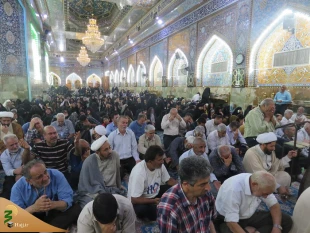طنین زیبای دعای کمیل در خیمه گاه حسینی + تصاویر 3