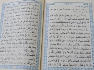 مراسم روح‌بخش دعای ندبه در کربلا + تصاویر