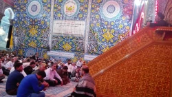برگزاری مراسم عزاداری شهادت امام جعفر صادق(ع) درحرم امام حسین (ع)+ صوت 6
