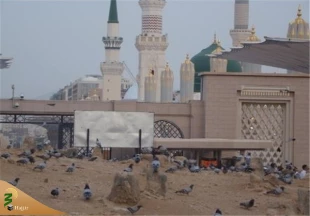 محل دفن امام صادق(ع) در قبرستان بقیع+ عکس 6