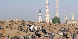 محل دفن امام صادق(ع) در قبرستان بقیع+ عکس 9