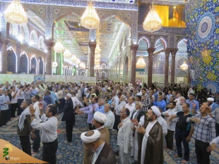 «تندرستی و امنیت» باعث حضور شما زائرین به کربلا شد 7