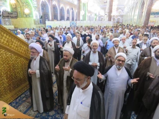 «تندرستی و امنیت» باعث حضور شما زائرین به کربلا شد 8