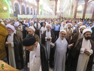 «تندرستی و امنیت» باعث حضور شما زائرین به کربلا شد 9
