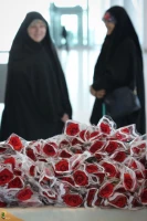 در فرودگاه امام خمینی(ره) انجام شد؛

آیین بدرقه زائران اعزامی به حج تمتع ۹۸ 4