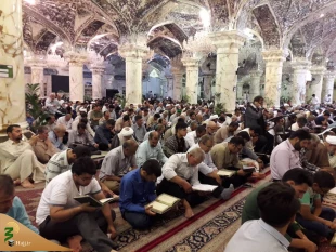 زمزمه دعای کمیل در حرم مطهر امیر المومنین(ع) 3