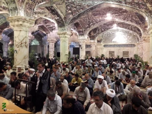 زمزمه دعای کمیل در حرم مطهر امیر المومنین(ع) 6