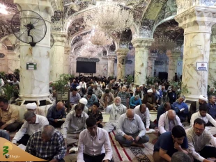 زمزمه دعای کمیل در حرم مطهر امیر المومنین(ع) 8