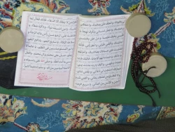 دعای کمیل در خیمه‌گاه حسینی در کربلا + تصاویر 5