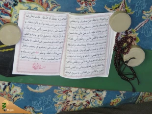 دعای کمیل در خیمه‌گاه حسینی در کربلا + تصاویر 5
