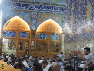 دعای کمیل در خیمه‌گاه حسینی در کربلا + تصاویر 8