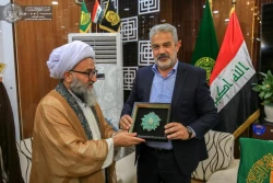 پرچم حرم امام رضا (ع) مهمان زائران حرم حضرت امیرالمومنین (ع) + تصاویر  3