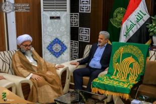 پرچم حرم امام رضا (ع) مهمان زائران حرم حضرت امیرالمومنین (ع) + تصاویر  5