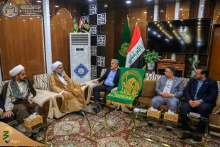 پرچم حرم امام رضا (ع) مهمان زائران حرم حضرت امیرالمومنین (ع) + تصاویر  7