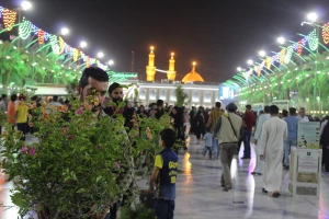بین الحرمین در حال و هوای میلاد امام هشتم/تصاویر