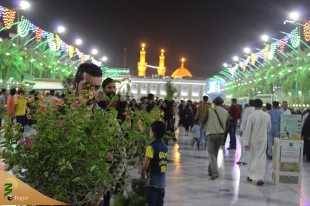 بین الحرمین در حال و هوای میلاد امام هشتم + عکس 2