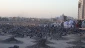 بقیع؛ میعادگاه دلدادگان کوی دوست/ گزارش تصویری 5
