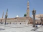 مسجدالنبی؛ میعادگاه خیل مشتاقان خاتم پیامبران/گزارش تصویری 2