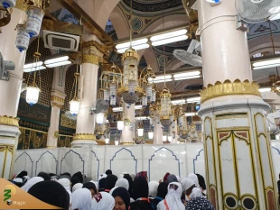 مسجدالنبی؛ میعادگاه خیل مشتاقان خاتم پیامبران/گزارش تصویری 3