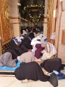 مسجدالنبی؛ میعادگاه خیل مشتاقان خاتم پیامبران/گزارش تصویری 6