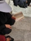 مسجدالنبی؛ میعادگاه خیل مشتاقان خاتم پیامبران/گزارش تصویری 7