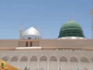 مسجدالنبی؛ میعادگاه خیل مشتاقان خاتم پیامبران/گزارش تصویری 12