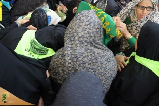 با استقبال پرشور زائران حسینی؛
پرچم بارگاه منور رضوی به کربلا رسید 2