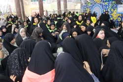 با استقبال پرشور زائران حسینی؛
پرچم بارگاه منور رضوی به کربلا رسید 9