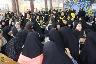 با استقبال پرشور زائران حسینی؛
پرچم بارگاه منور رضوی به کربلا رسید 9