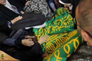 با استقبال پرشور زائران حسینی؛
پرچم بارگاه منور رضوی به کربلا رسید 10